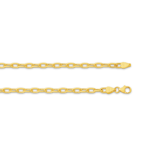 Paper Clip 3.6mm Yellow Gold 45cm (Solid)